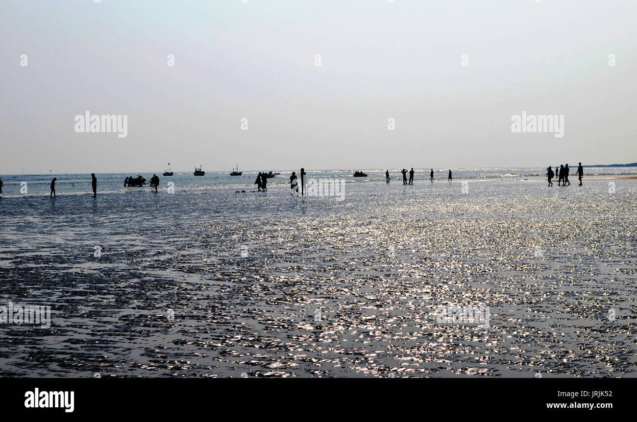 Vue d'une plage Banque D'Images