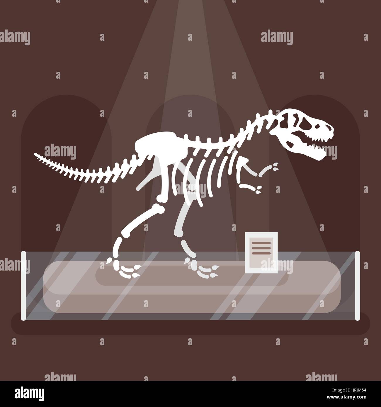 Vector illustration style plat de squelette de dinosaure au musée. Prédateurs préhistoriques - Tyrannosaurus Rex. Illustration de Vecteur