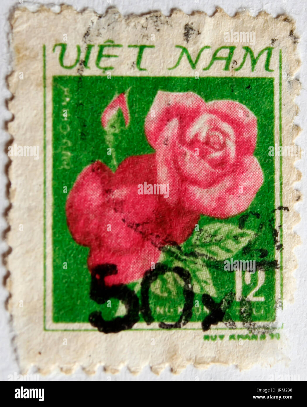 VIETNAM - VERS 1973 : timbre imprimé au Vietnam montre rose, vers 1973 Banque D'Images