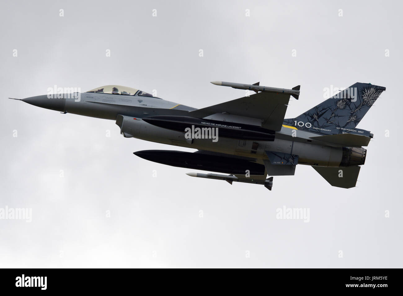 Belgian Air Component F-16AM Fighting Falcon FA-132 dans un schéma de peinture spécial pour le centenaire du 1e Escadron avec un chardon Banque D'Images