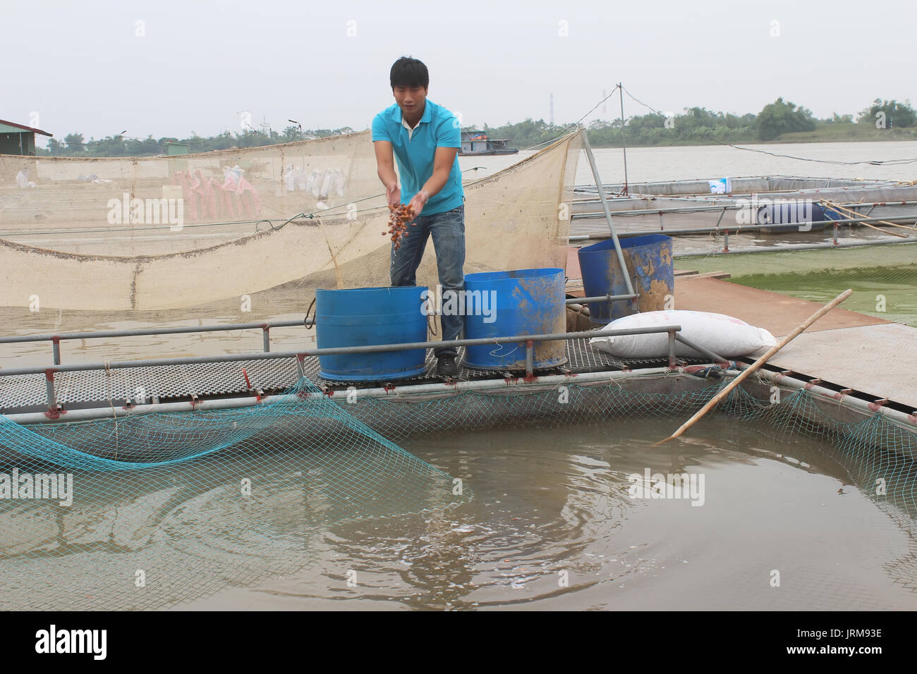 HAI Duong, Vietnam, novembre, 18 : les pêcheurs et les poissons dans la ferme sur la rivière, 18 novembre 2014 à Hai Duong, Vietnam. Banque D'Images