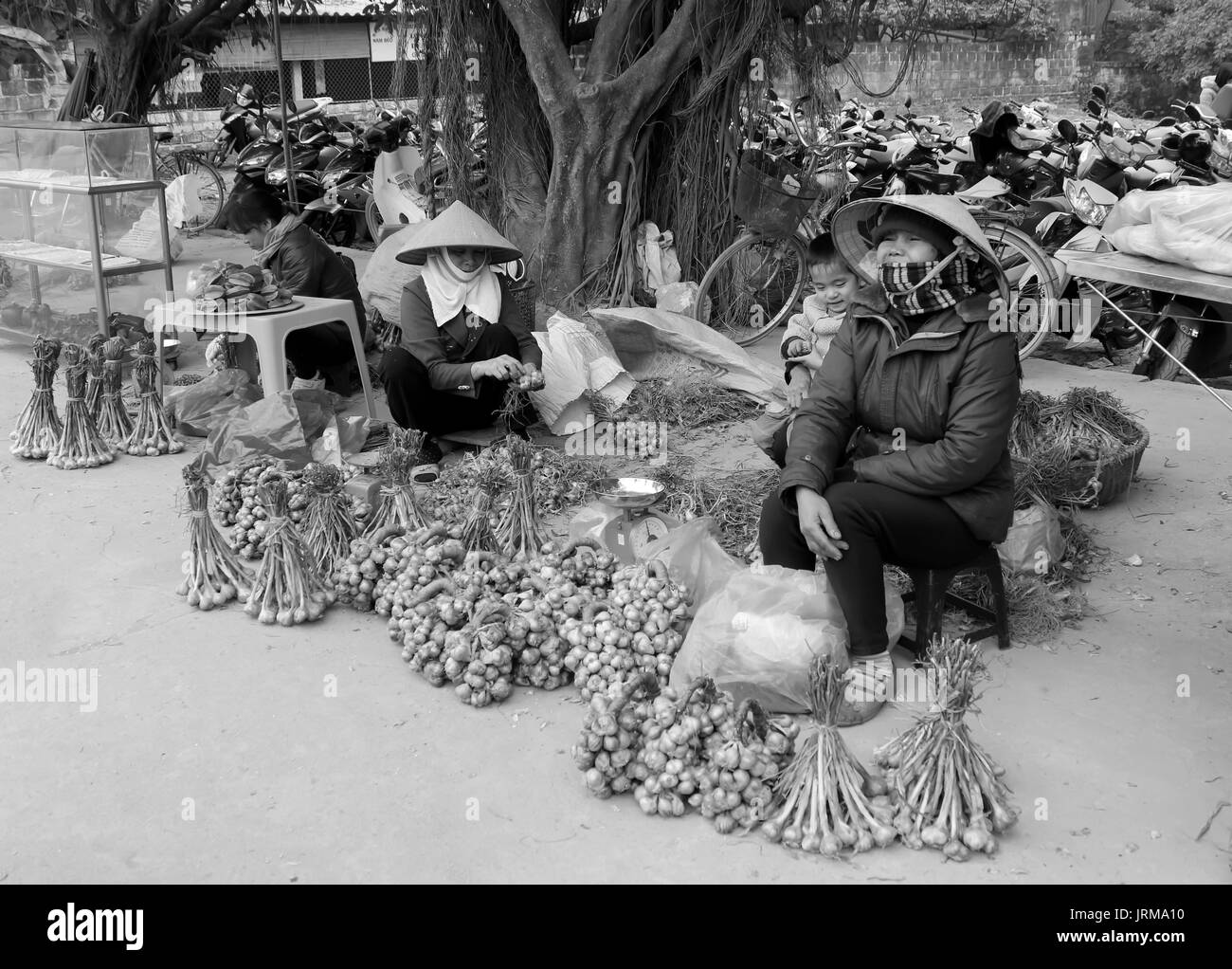 HAI Duong, Vietnam, avril, 10 : vente d'oignons dans le marché, 10 avril à Hai Duong, Vietnam Banque D'Images