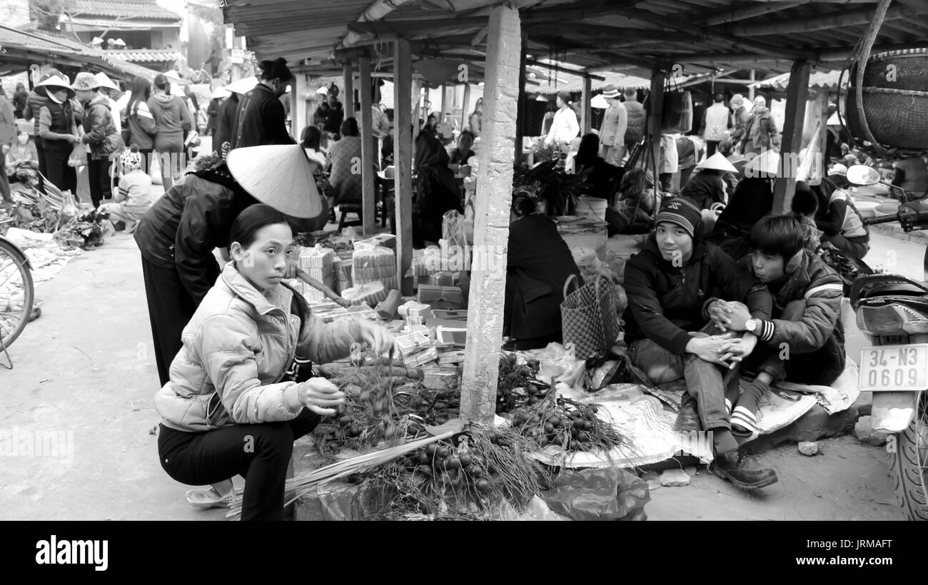 HAI Duong, Vietnam, avril, 10 : La vente de noix de bétel au marché le 10 avril, dans la région de Hai Duong, Vietnam. Banque D'Images