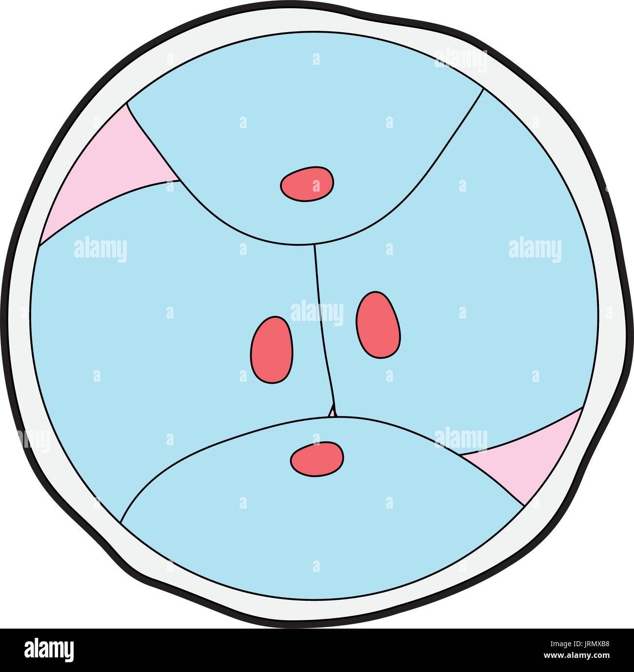 La division des cellules d'embryons génétiques biologie Illustration de Vecteur