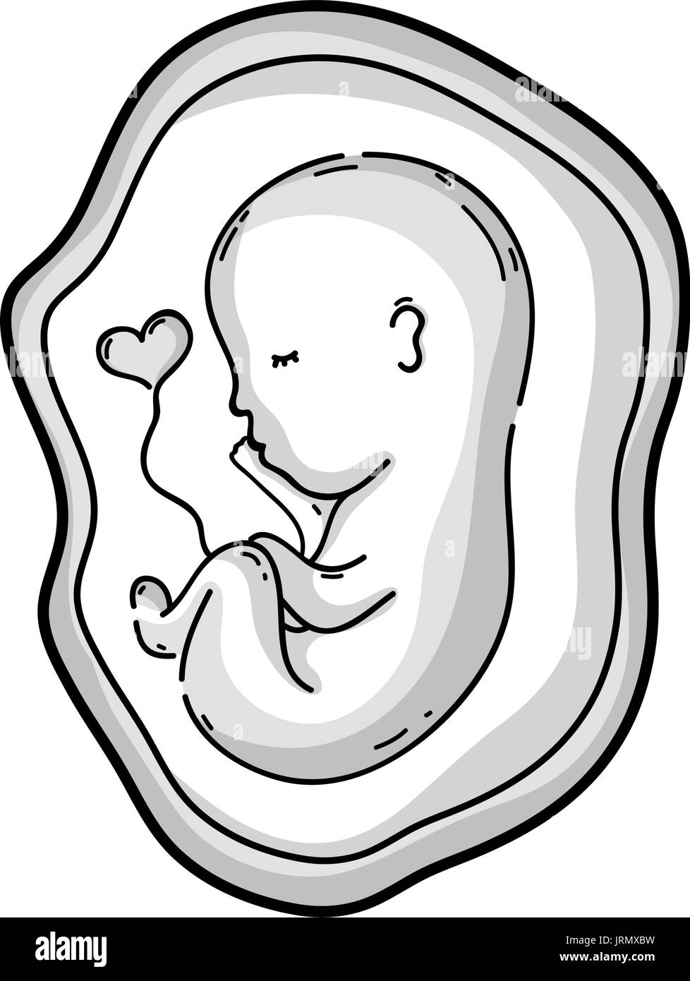 Bebe En Ligne Avec Cordon Ombilical A L Interieur De L Uterus Image Vectorielle Stock Alamy