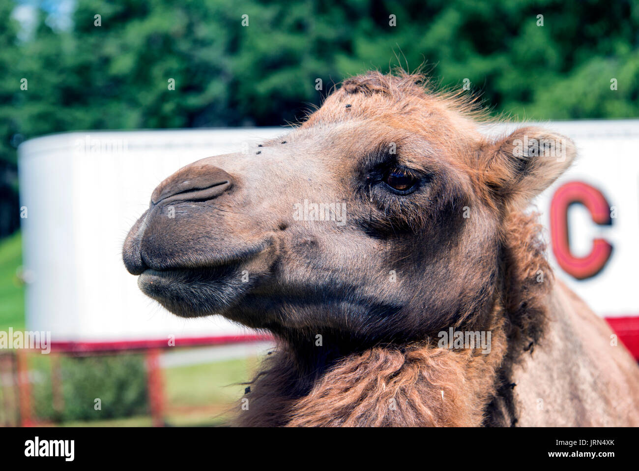 lettre a avec montagne banque d image et photos alamy