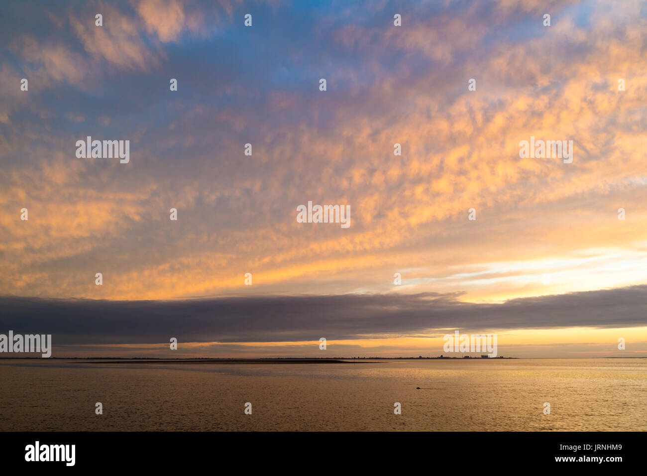 Panorama de la mer de Wadden avec côte de Den Helder et la sceller au coucher du soleil, la Hollande du Nord, Pays-Bas Banque D'Images