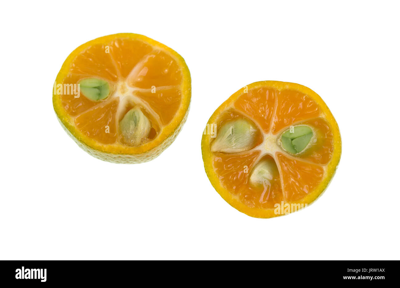 Calamondin, également connu sous le nom de calamansi ou Citrofortunella microcarpa, est une plante et des fruits de la famille des agrumes qui ressemble à une petite lime ronde, Banque D'Images