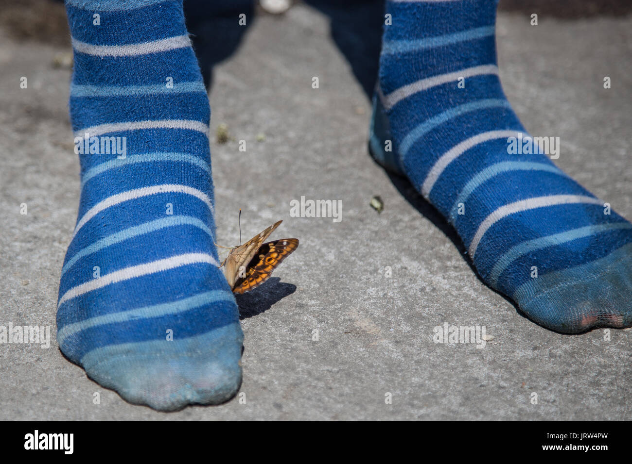 Smelly socks Banque de photographies et d'images à haute résolution - Alamy