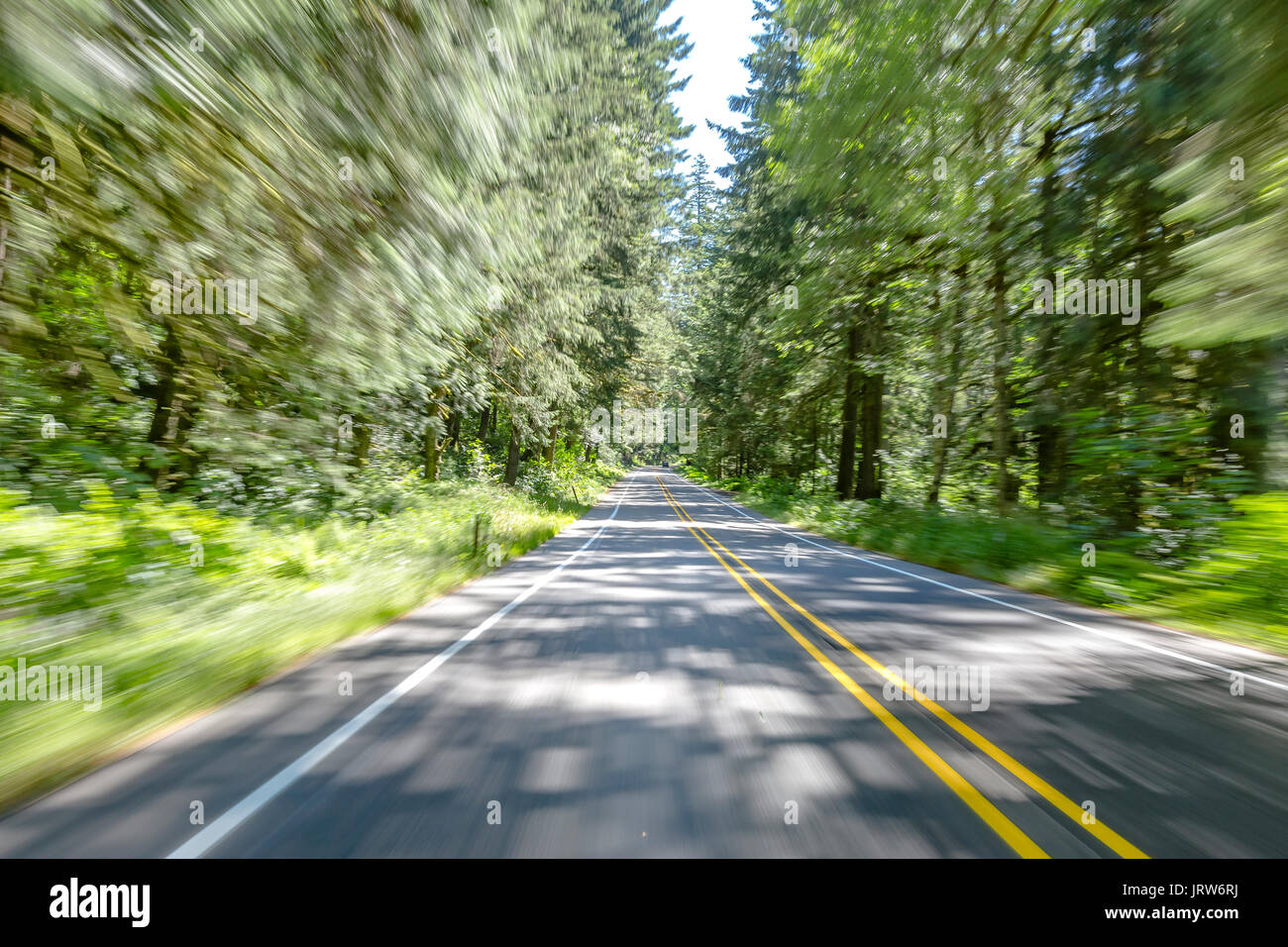 Motion Blur montre que la lumière du soleil à travers les filtres dans les denses forêts tropicales couvert sur cette route de Washington . La randonnée et les voyages vues près du Mont Rainier i Banque D'Images