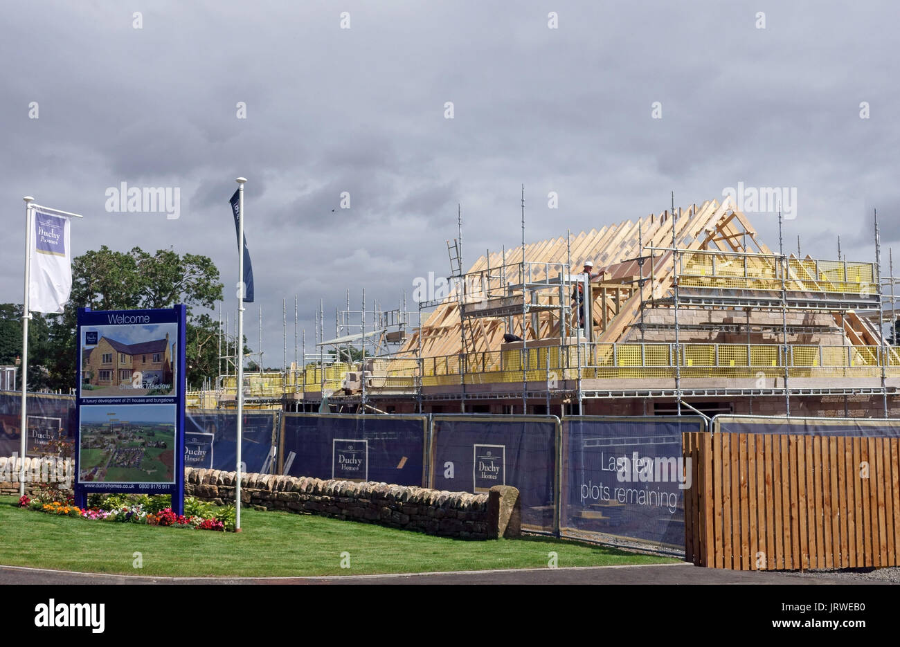 De nouvelles maisons construites en Humshaugh près de Hexham, Northumberland, Angleterre Banque D'Images De nouvelles maisons construites en Humshaugh près de Hexham, Northumberland, Angleterre Banque D'Images
