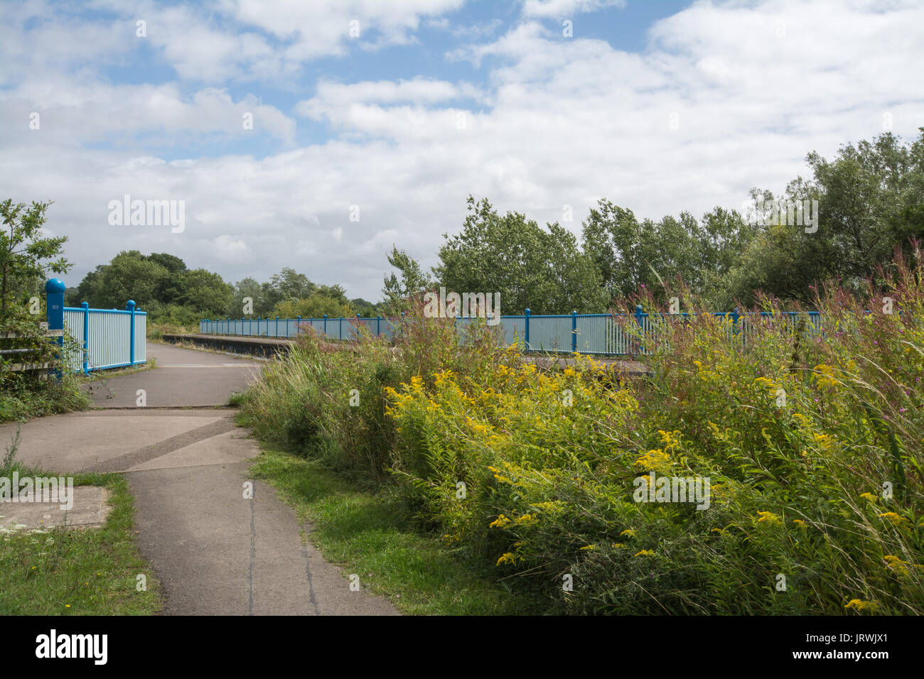 Voir l'Aqueduc de cendres sur le Canal de Basingstoke à Surrey, UK, en été Banque D'Images