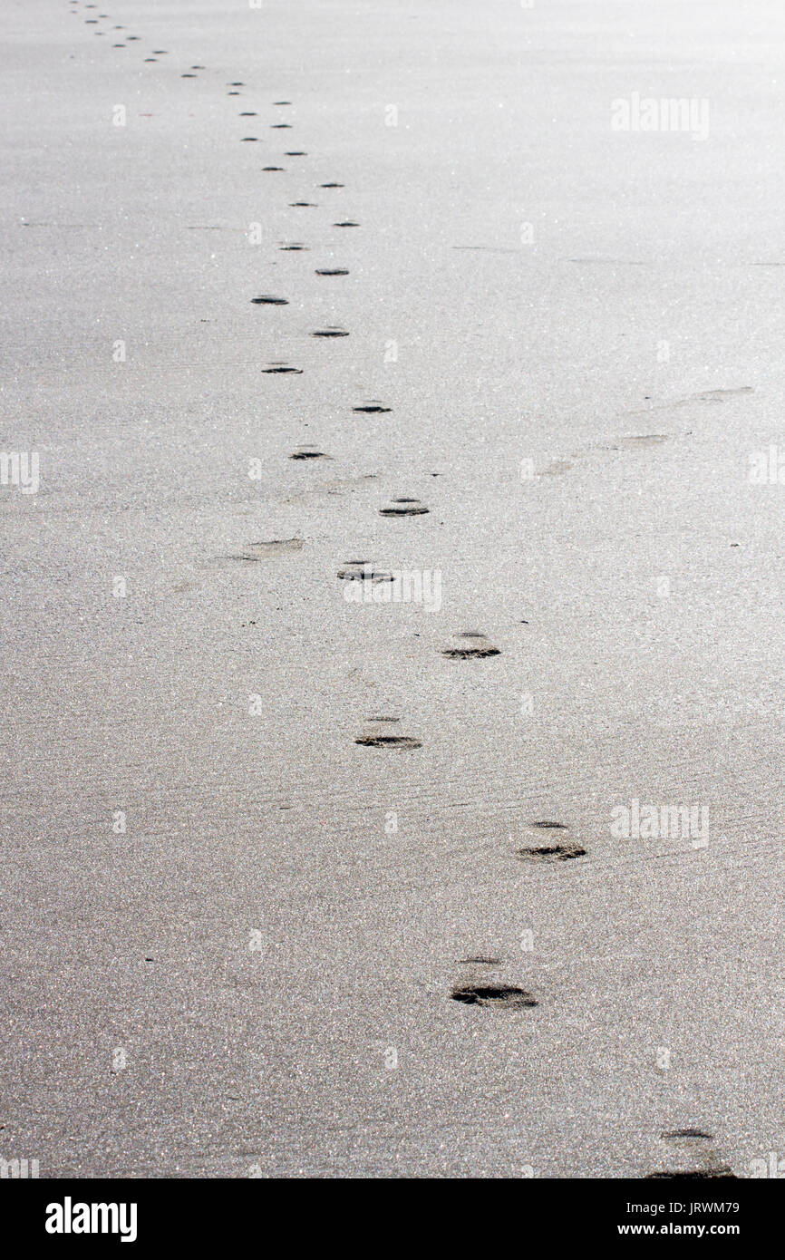 Des traces de pas dans le sable d'une seule personne portant des chaussures et traversant une plage vers l'appareil photo Banque D'Images Des traces de pas dans le sable d'une seule personne portant des chaussures et traversant une plage vers l'appareil photo Banque D'Images