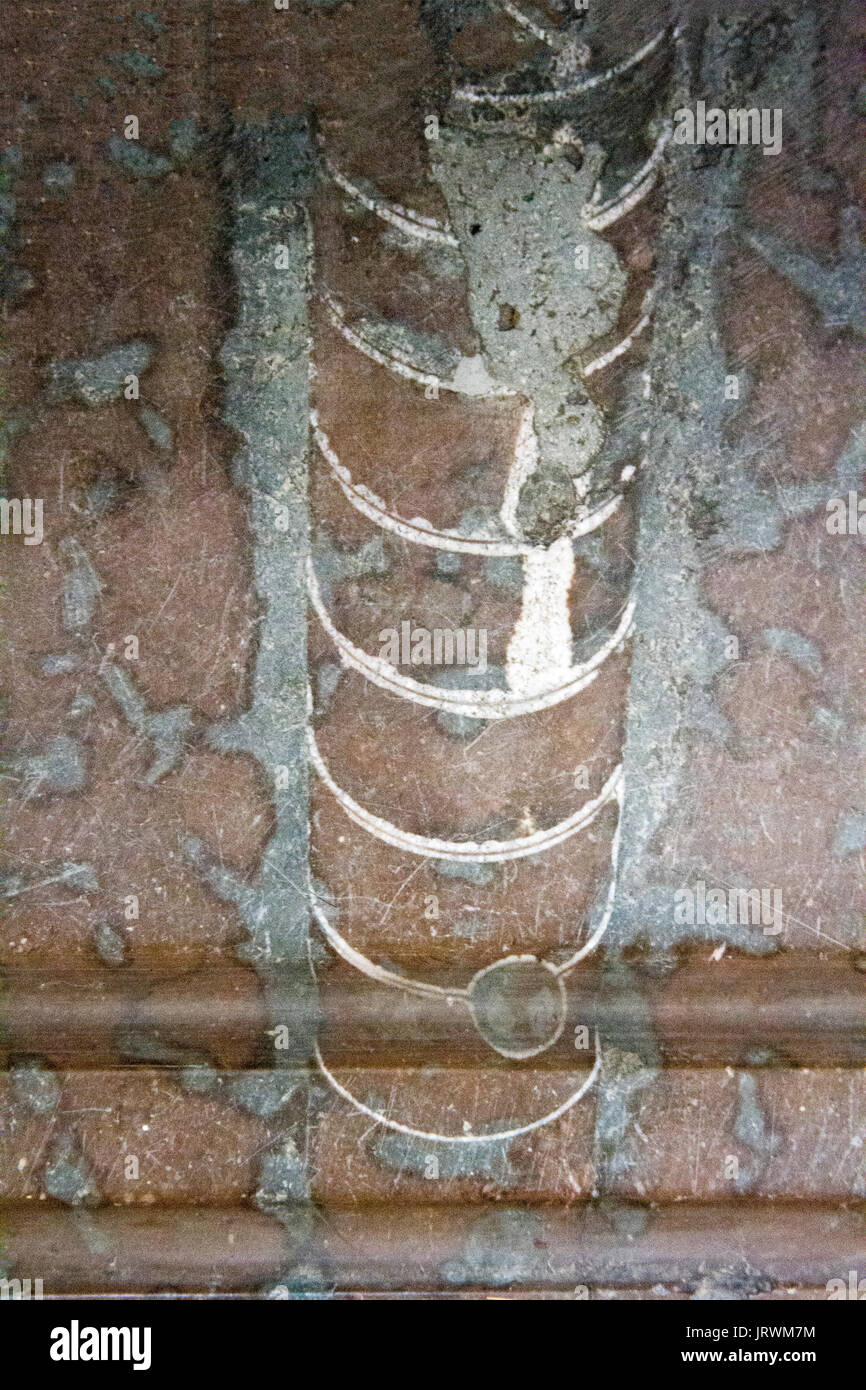 Orthoceras "Straight horn" combustibles incorporée dans le sol calcaire dans un bâtiment à Stockholm, Suède Banque D'Images Orthoceras "Straight horn" combustibles incorporée dans le sol calcaire dans un bâtiment à Stockholm, Suède Banque D'Images