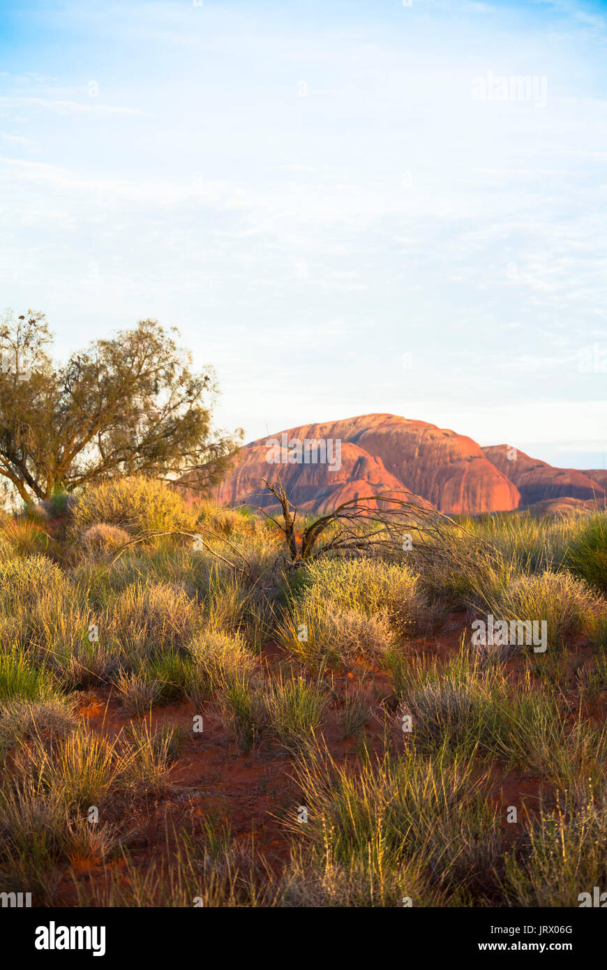 Kata Tjuta les Olgas Australie Banque D'Images