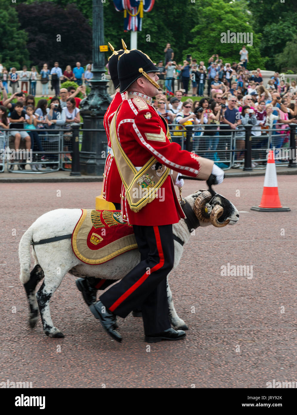 Deux gardes avec une chèvre, garde royale, la relève de la garde, Londres, Angleterre, Royaume-Uni Banque D'Images