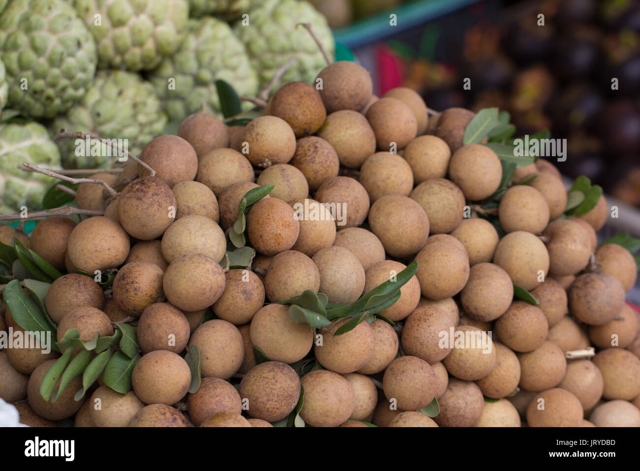 Longane tas de fruits sur le marché asiatique Banque D'Images