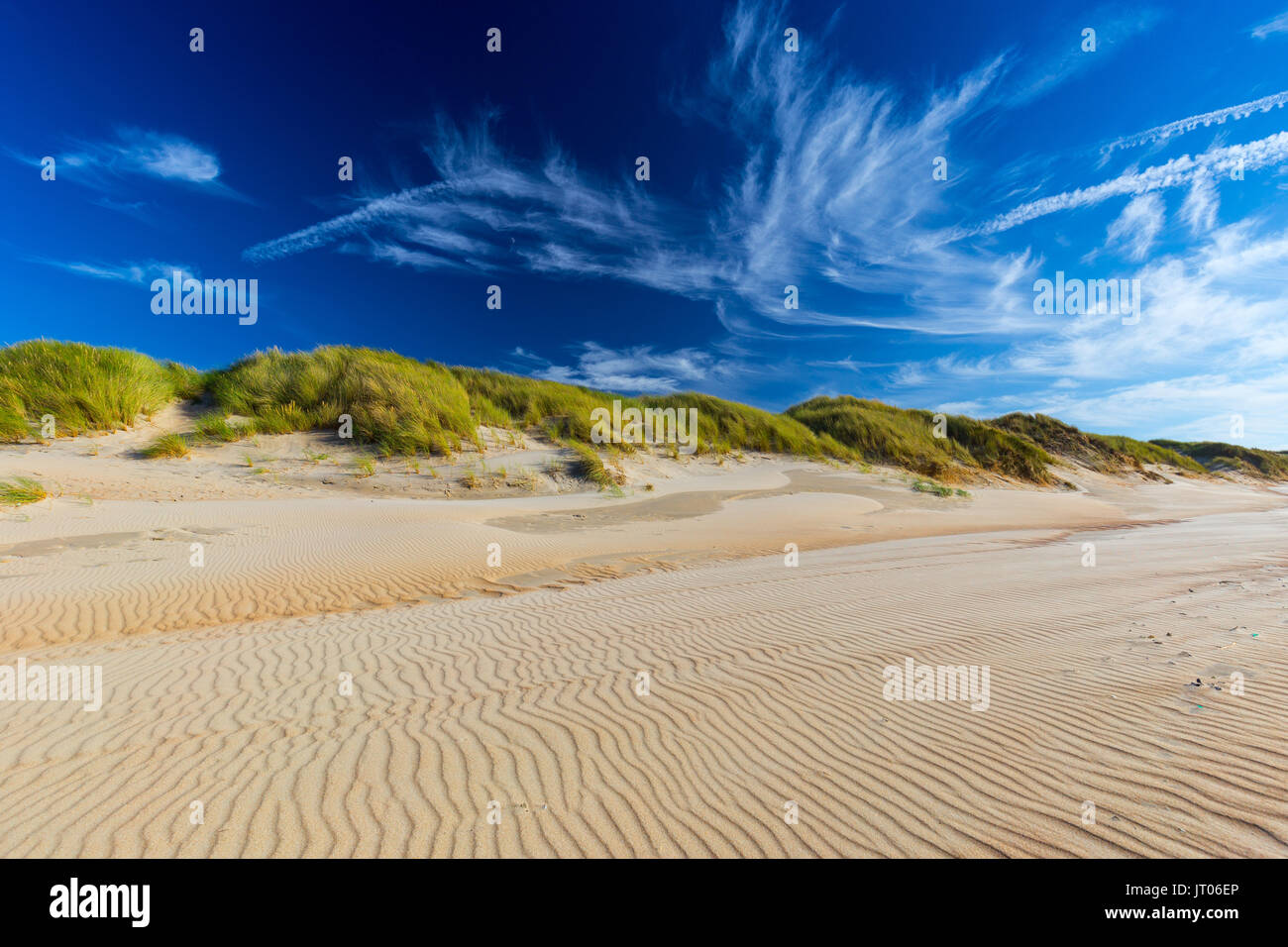 Les dunes de sable de la mer du Nord à De Haan, Belgique au coucher du soleil Banque D'Images