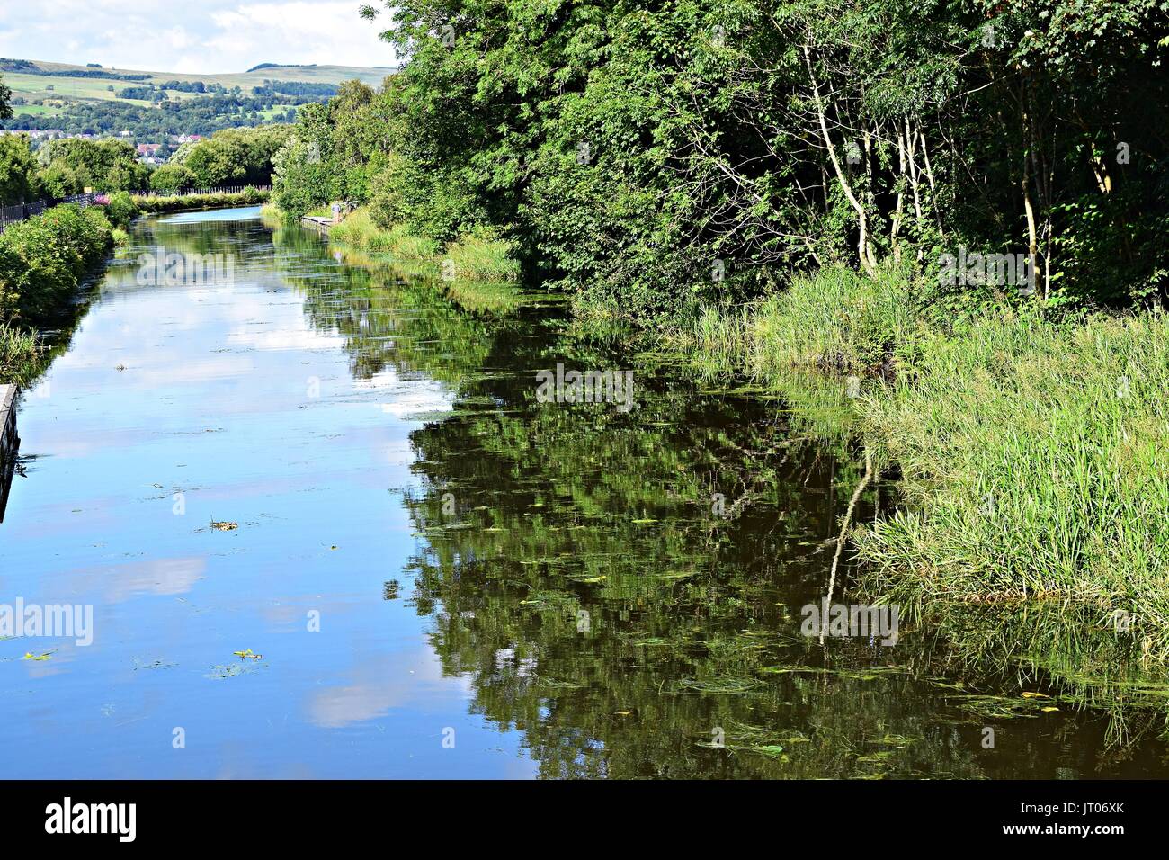 Arbre généalogique avec canal Banque D'Images