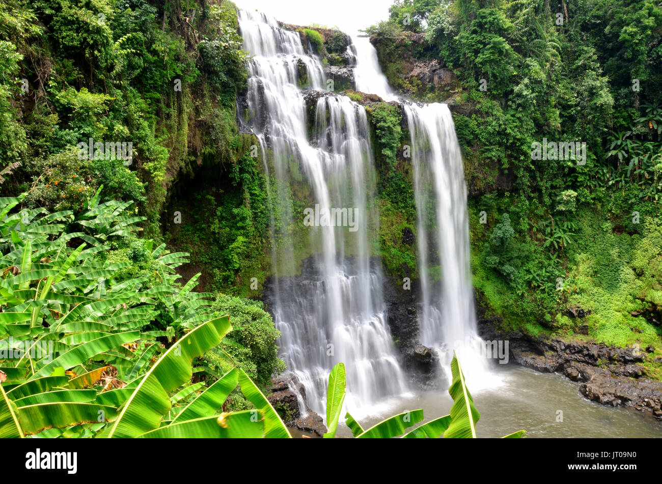 Motion et courant d'eau de Tad Yeang cascades au Plateau des Bolavens à Paksong, Champassak, Laos Banque D'Images