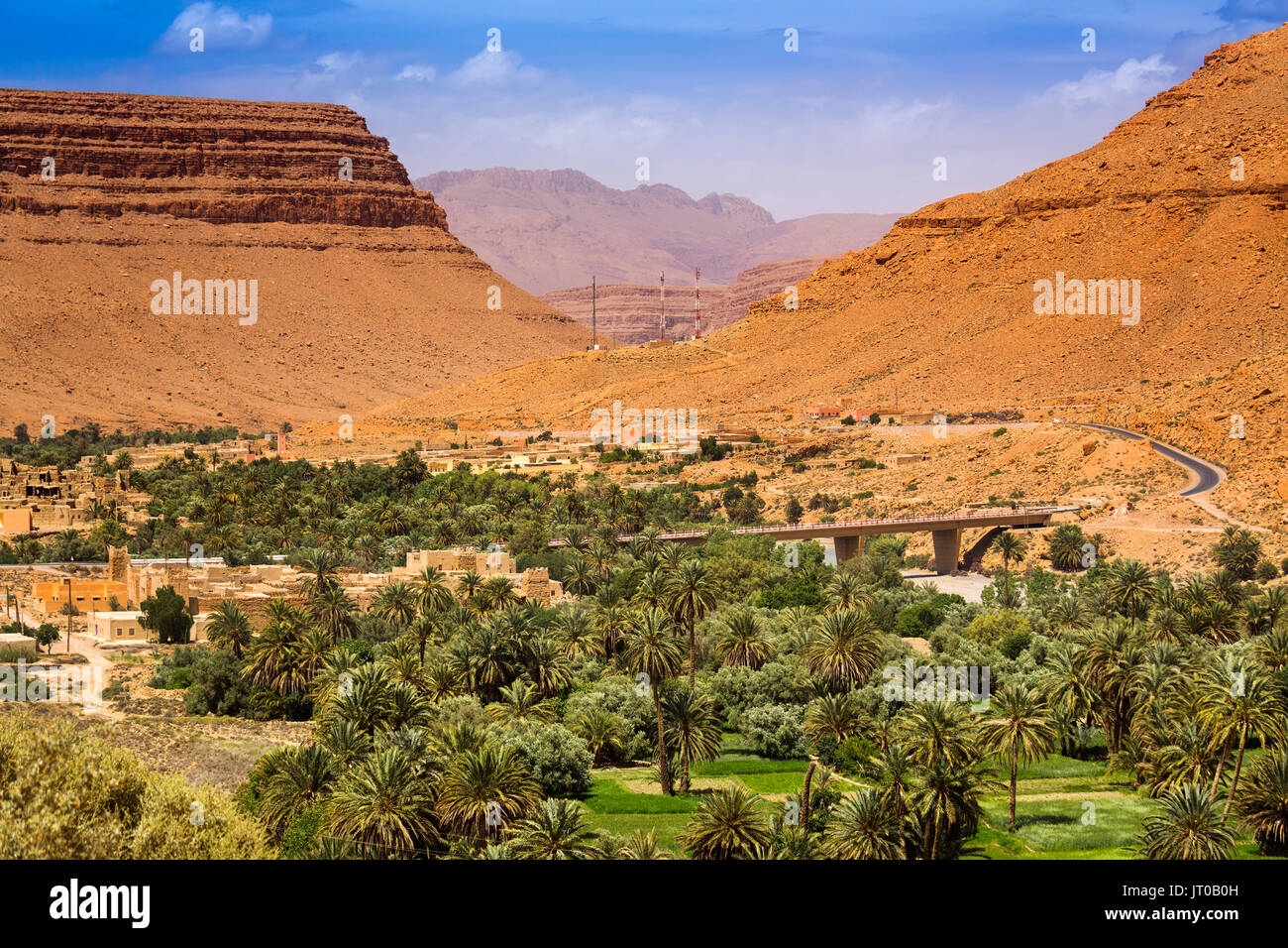 L'agriculture. Oasis de palmiers de la vallée de Ziz Ziz, Rivière. Région Tafilalet. Le Maroc, Maghreb, Afrique du Nord Banque D'Images