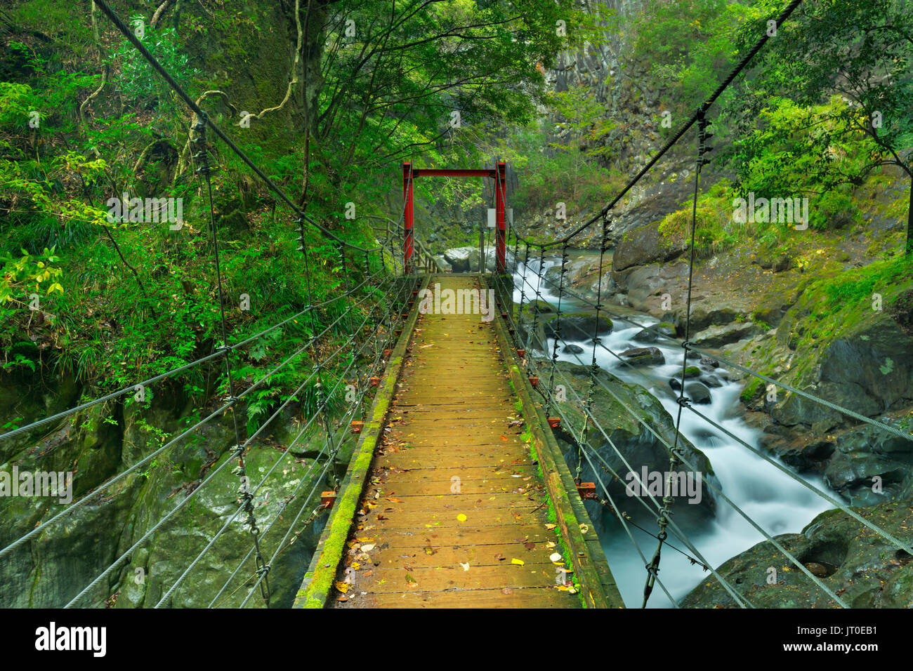 Un pont suspendu au-dessus de la rivière le long Hontani la cascade Kawazu Nanadaru Trail sur la péninsule d'Izu, du Japon. Banque D'Images