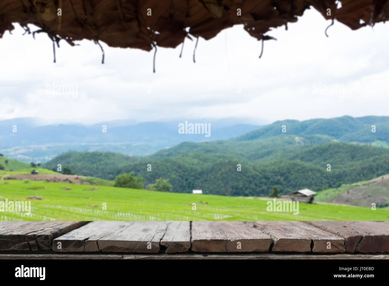 Champ de riz vert sur terrasse dans la vallée de montagne avec table en bois pour afficher votre produit. belle nature paysage en saison des pluies. L'agriculture, de l'agroalimentaire Banque D'Images