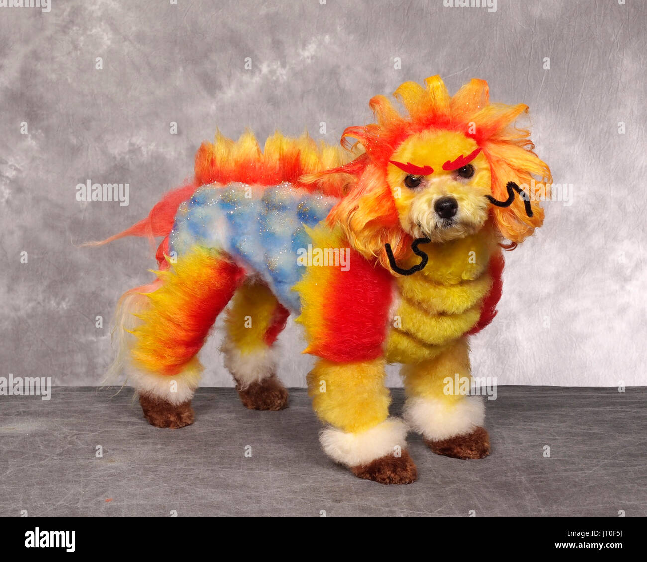 SuperZoo, Las Vegas, Nevada, USA (juillet 2015). Régalez vos yeux sur le la plupart des chats bizarres jamais vous êtes susceptible de repérer avec la permission de l'Amérique du Nord les plus ex Banque D'Images