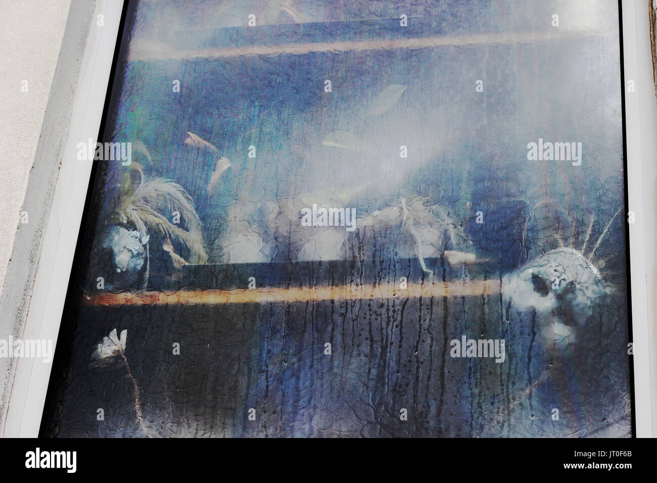 Eerie image créée par la récolte des plantes, un masque et d'autres éléments d'une fenêtre humide antique shop Banque D'Images