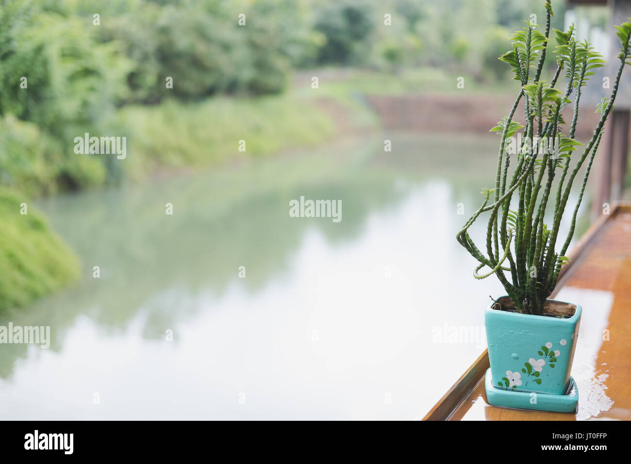 Plante en pot de fleur sur la table de bois avec étang et vue sur le jardin Banque D'Images