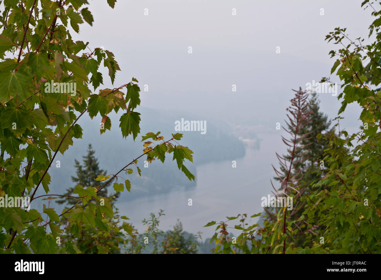 Burnaby BC, Canada (agglomération de Vancouver). 6 août 2017. Vu de Burnaby Mountain, la communauté de Deep Cove, sur la rive nord est à peine visible à travers l'épaisse fumée qui continue de s'attarder sur la région métropolitaine de Vancouver. La fumée provenant de certains des feux dans l'intérieur de la province a été dériver vers la côte Sud pendant plusieurs jours, ce qui a incité les avertissements sur la qualité de l'air. Il y a actuellement 127 feux brûlant dans la province. Crédit : Maria Janicki/Alamy Live News. Banque D'Images