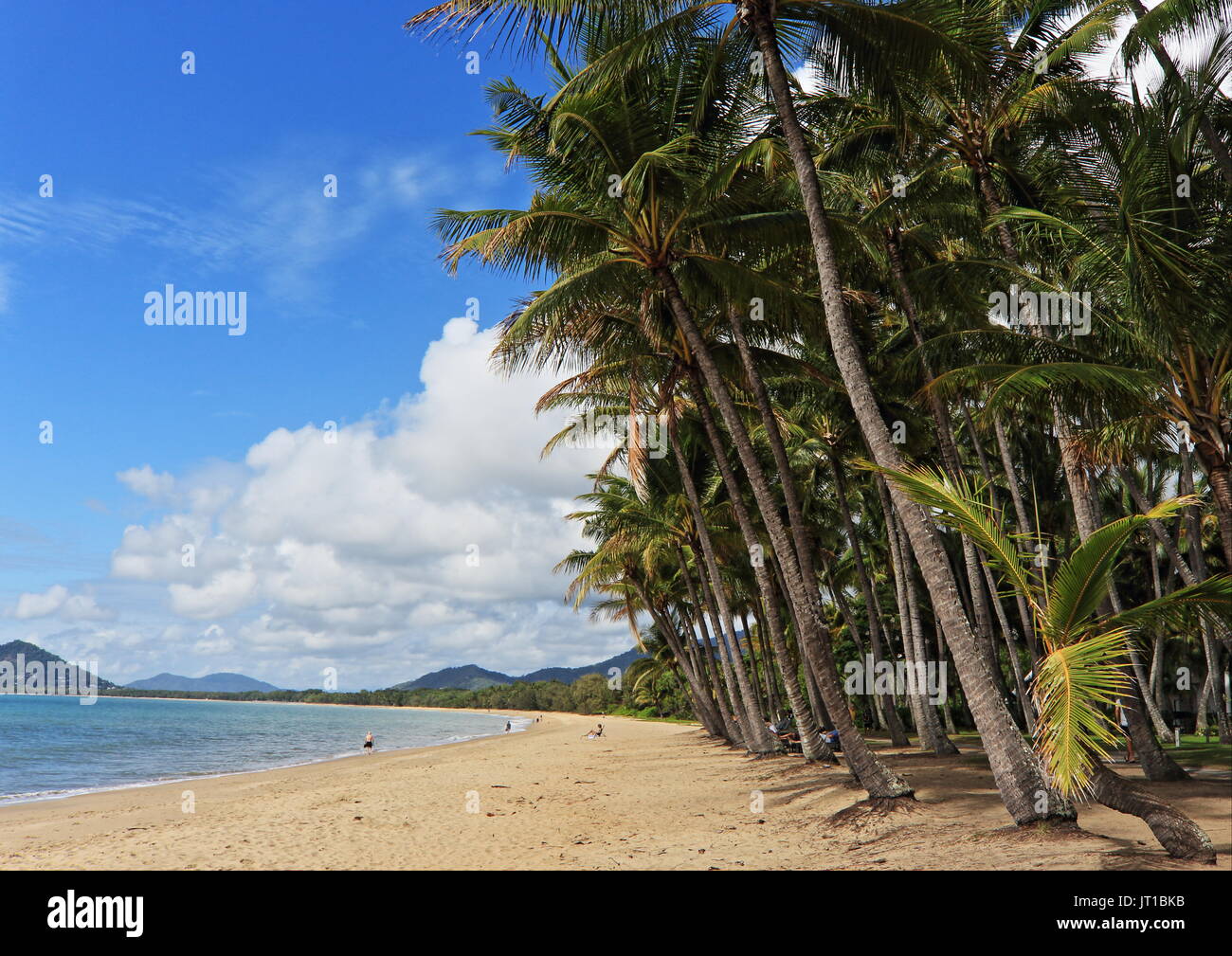 Via Palm Cove Cairns, Queensland, Australie Banque D'Images
