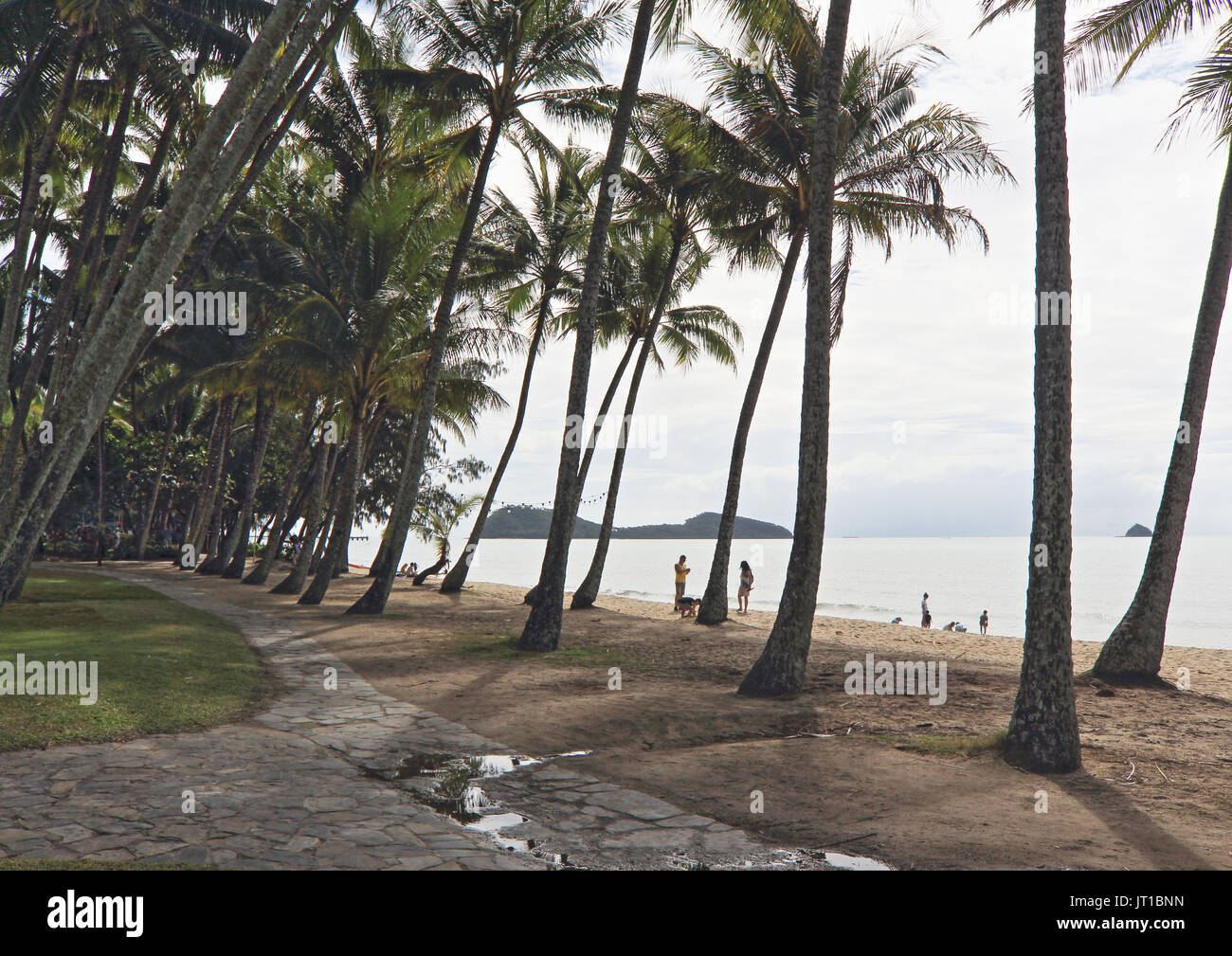 Via Palm Cove Cairns, Queensland, Australie Banque D'Images