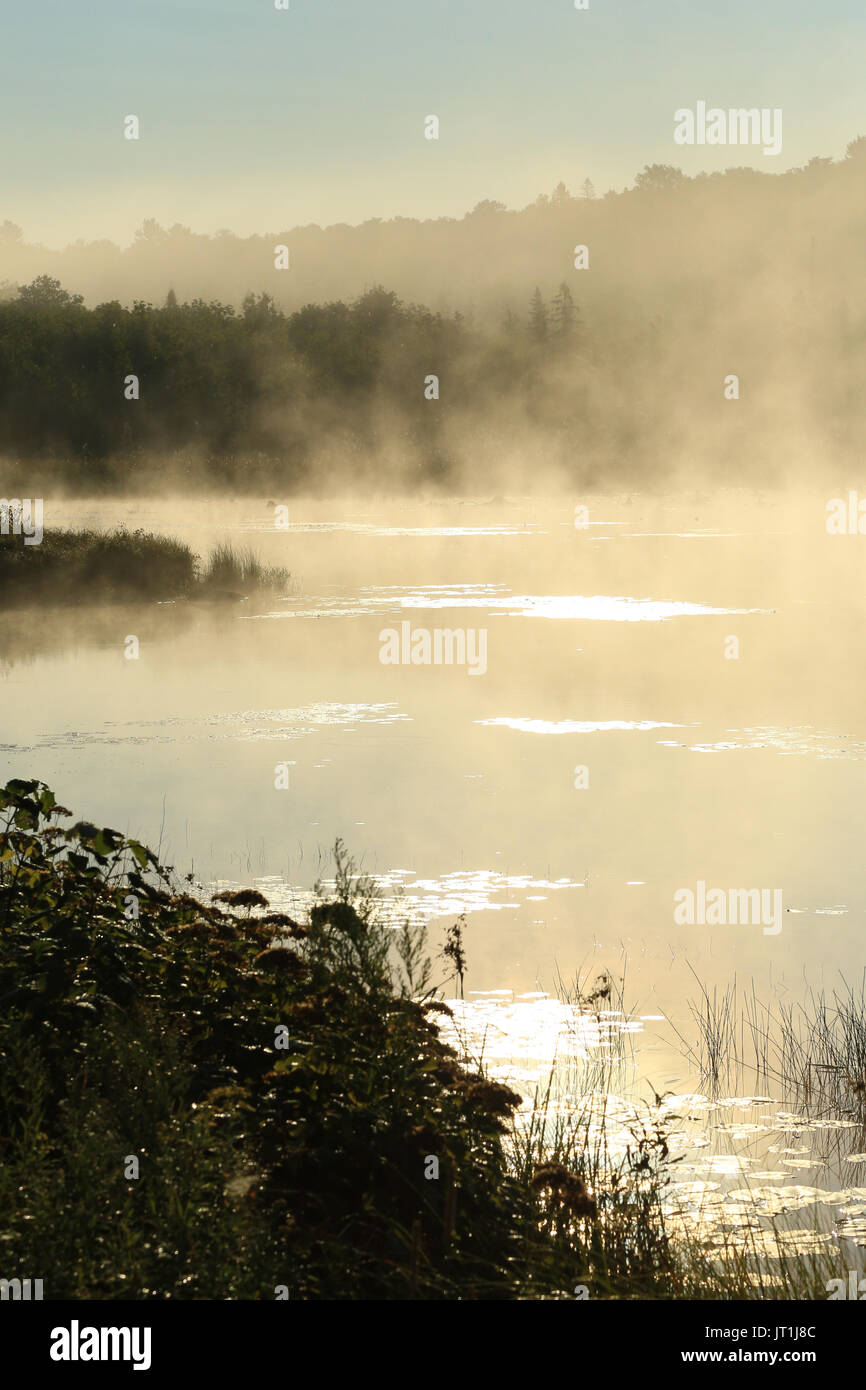 Magnifique lac canadien préservé couvert de brume au lever du soleil. Banque D'Images
