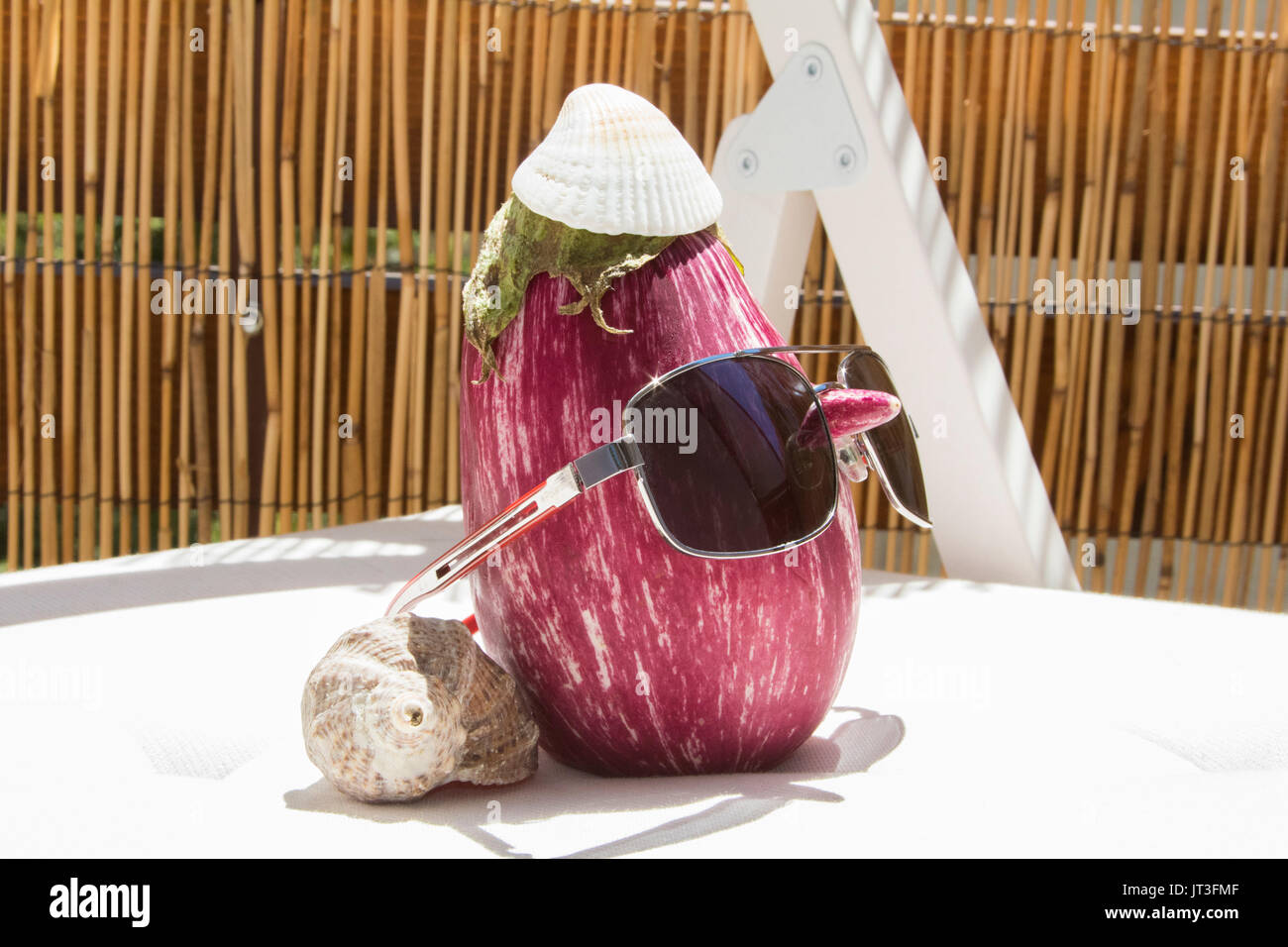 L'aubergine est de prendre la chaleur du soleil la lumière Banque D'Images