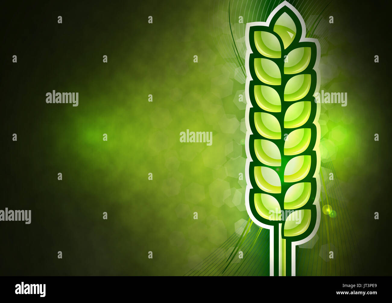 Le maïs vert sur l'abstrait arrière-plan agricole. Banque D'Images