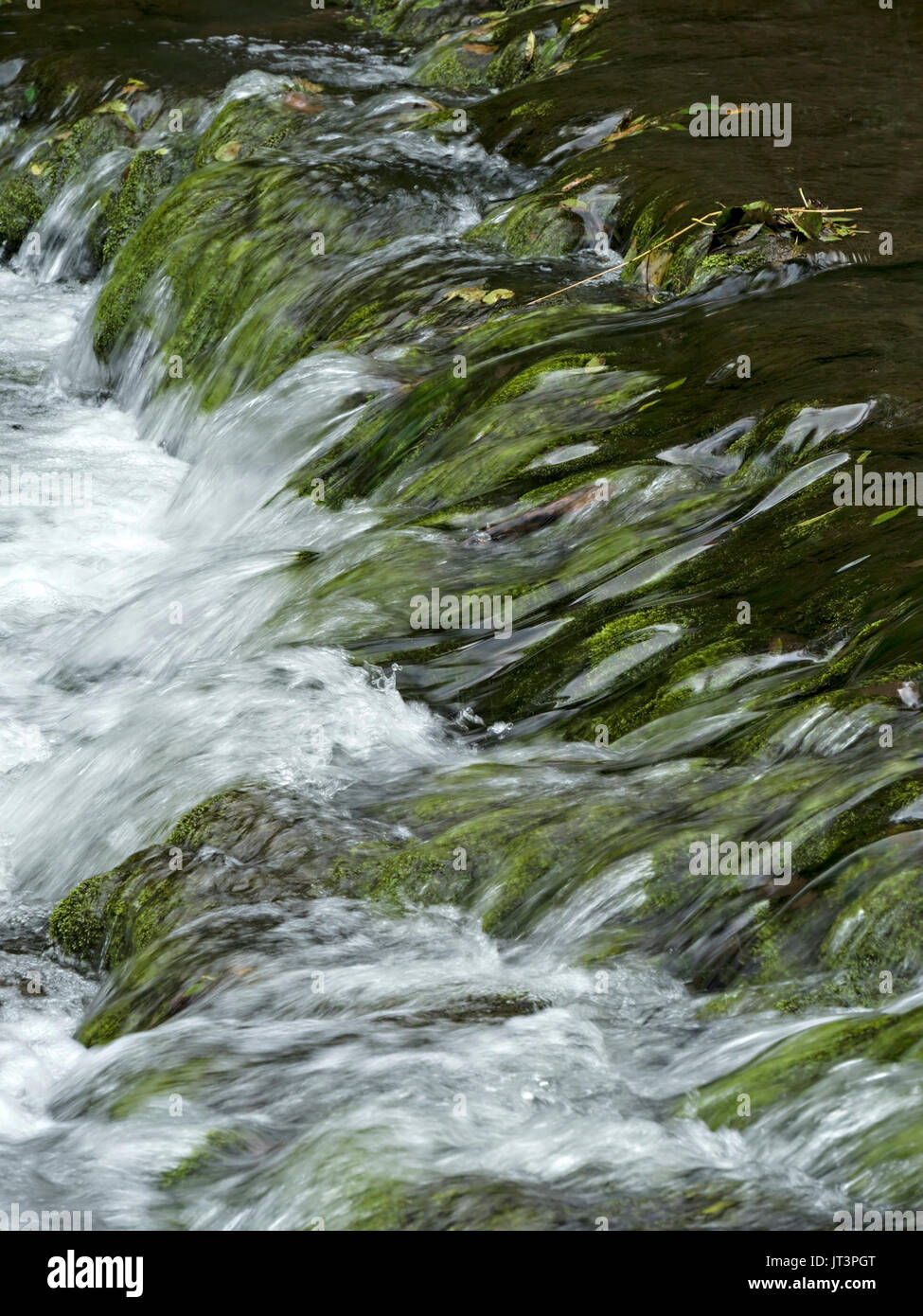 Les eaux à débit rapide de la rivière Dove, dovedale, Derbyshire Peak District, England, UK Banque D'Images