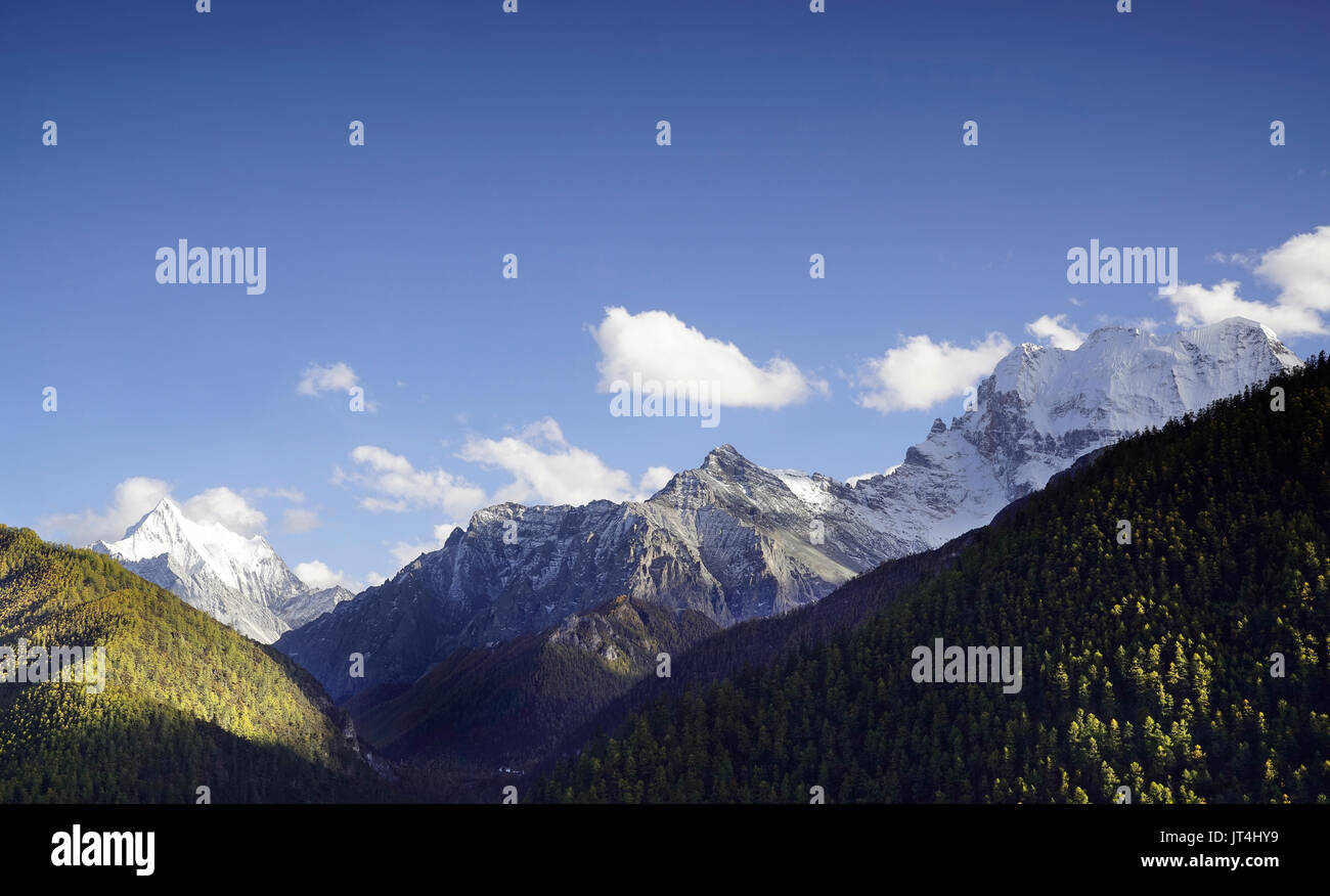 Shangri La, une vue panoramique de la sainte montagne enneigées et Chanadorje pins verts sur les montagnes à l'échelon national, réserve de Yading, Daocheng Sichua Banque D'Images