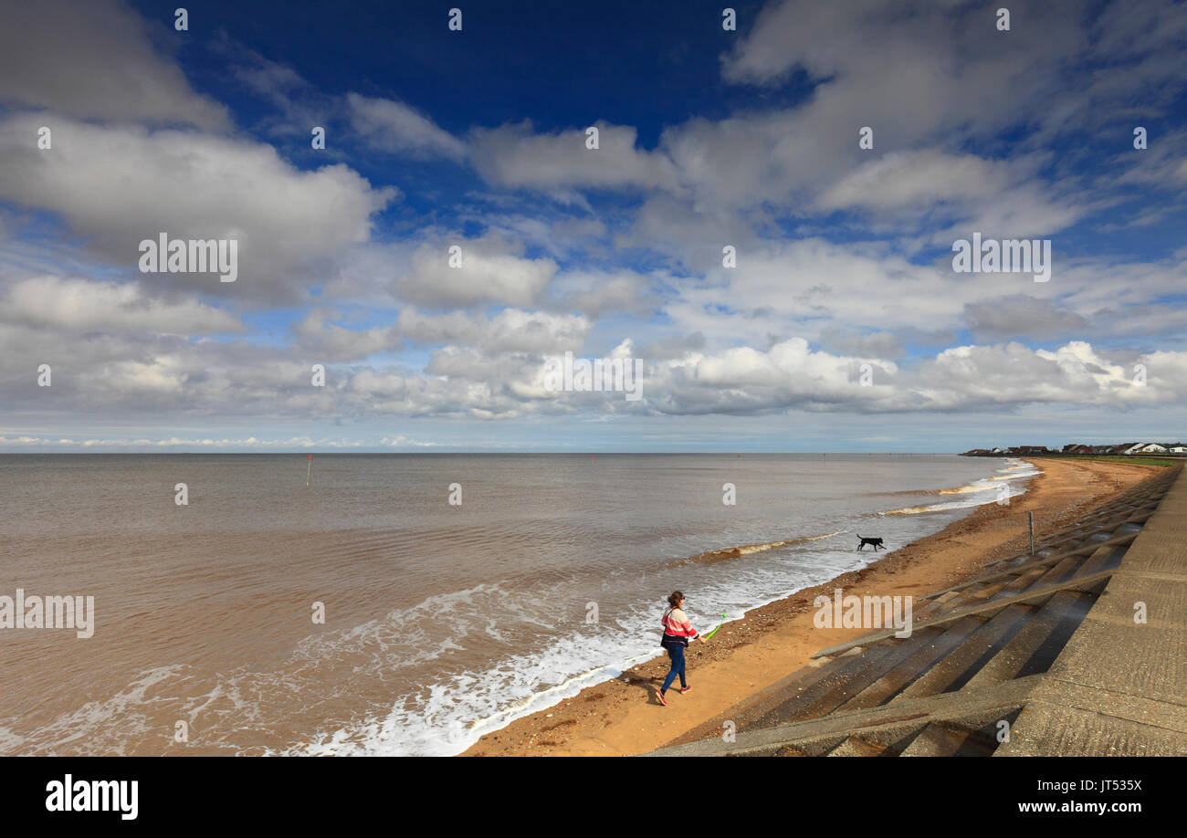 Femme marche avec son chien sur la plage de Heacham, Norfolk, Angleterre, Royaume-Uni. Banque D'Images
