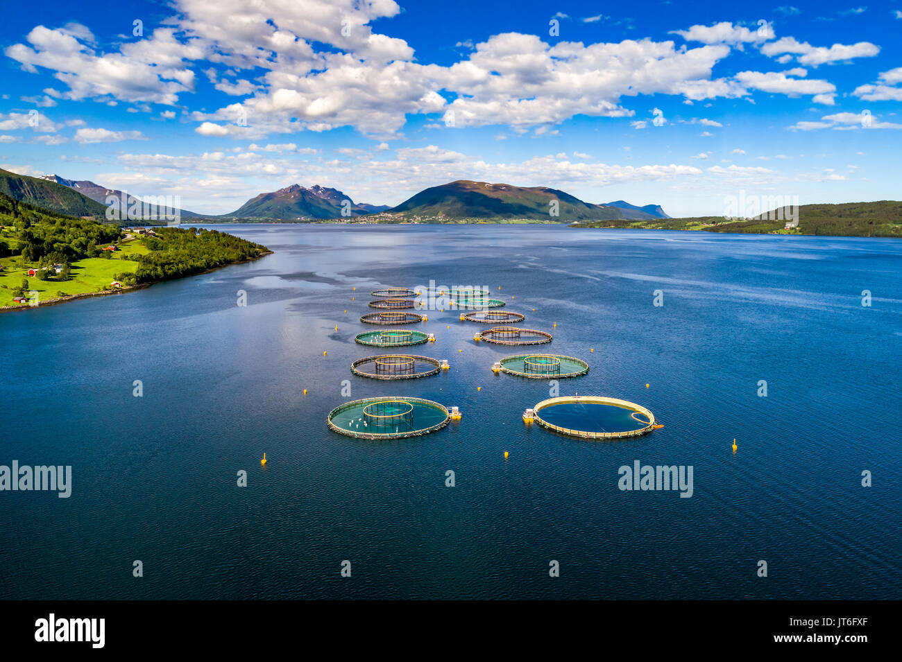 La pêche du saumon d'élevage en Norvège Banque D'Images