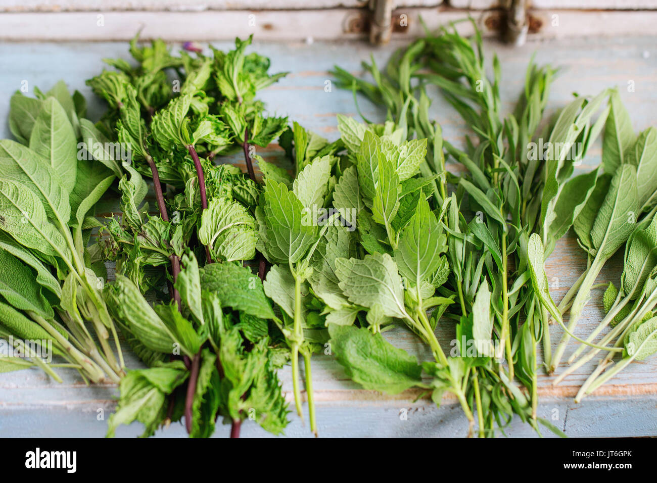 Assortiment de fines herbes menthe, origan, thym, sauge en fleurs sur la vieille table de cuisine en bois blanc bleu. De style rustique, de la lumière du jour. Banque D'Images