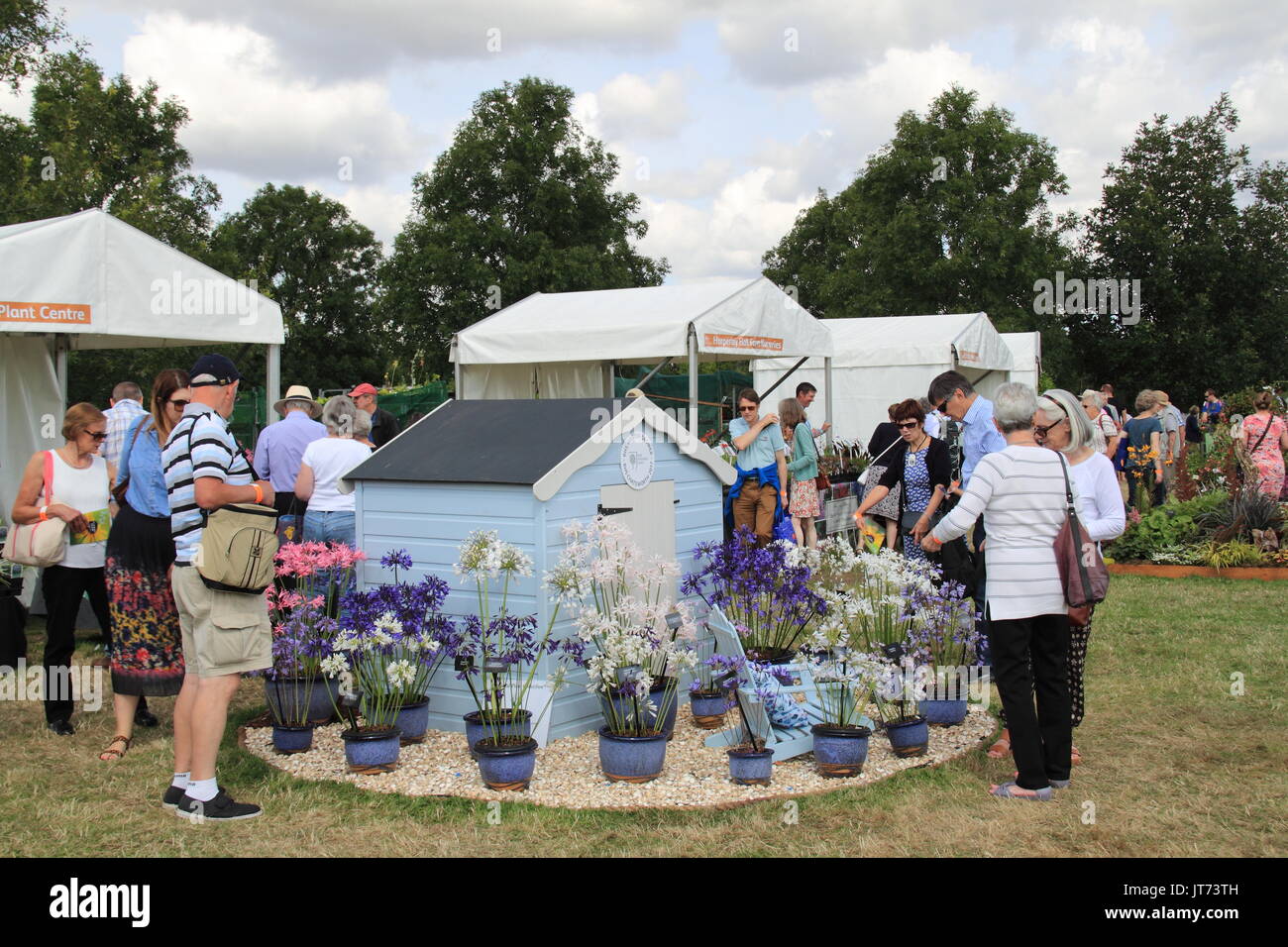 Centre de l'usine Hoyland, RHS Garden Hyde Hall Flower Show 2017, Chelmsford, Essex, Angleterre, Grande-Bretagne, Royaume-Uni, UK, Europe Banque D'Images