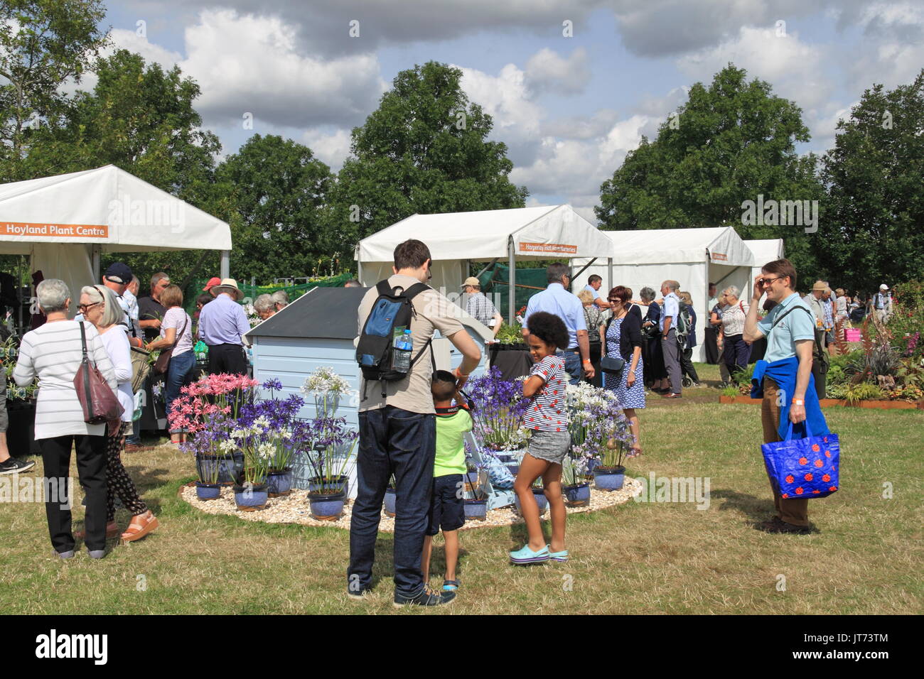 Centre de l'usine Hoyland, RHS Garden Hyde Hall Flower Show 2017, Chelmsford, Essex, Angleterre, Grande-Bretagne, Royaume-Uni, UK, Europe Banque D'Images
