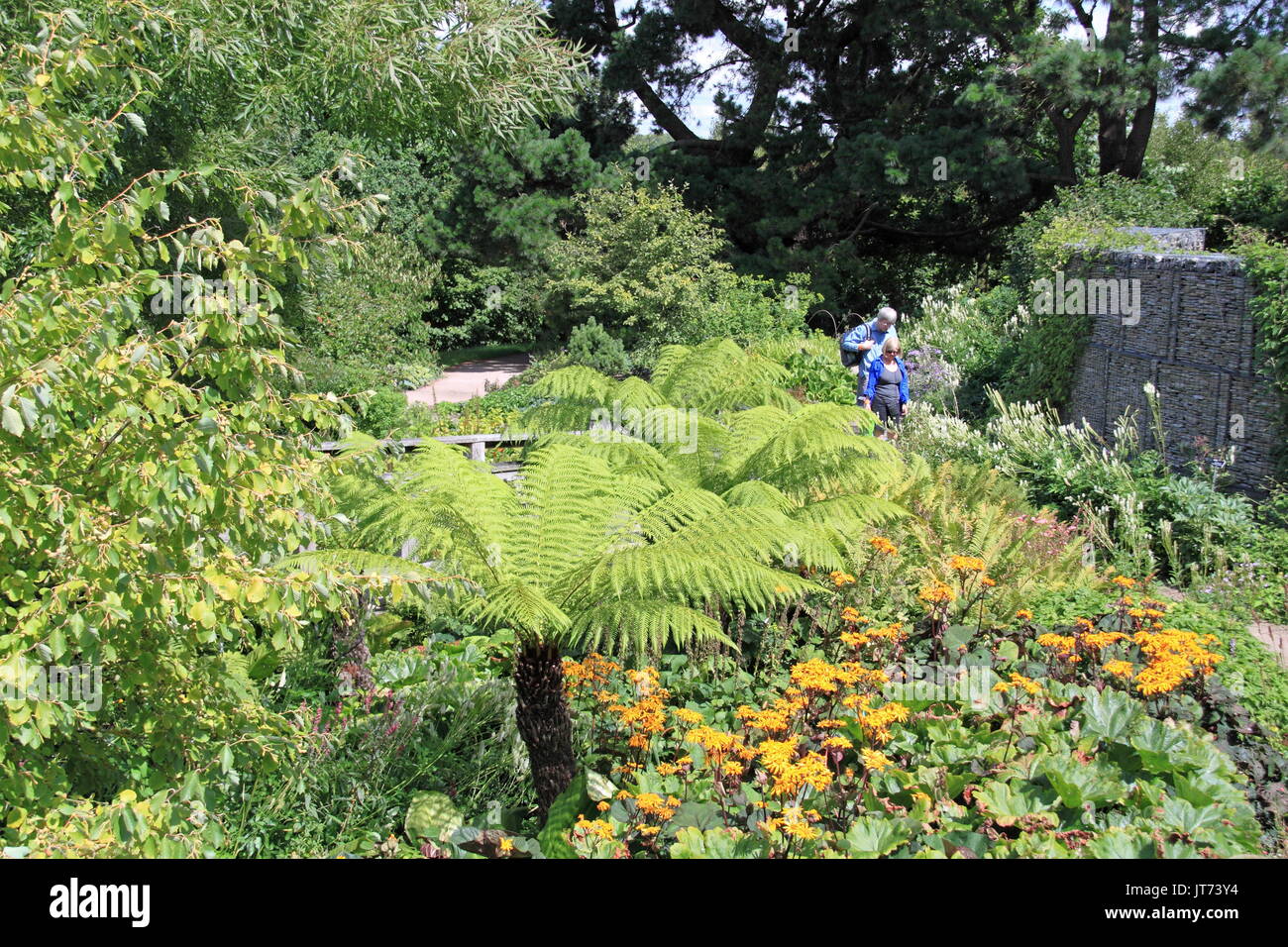 Jardin robinson, RHS Garden Hyde Hall Flower Show 2017, Chelmsford, Essex, Angleterre, Grande-Bretagne, Royaume-Uni, UK, Europe Banque D'Images