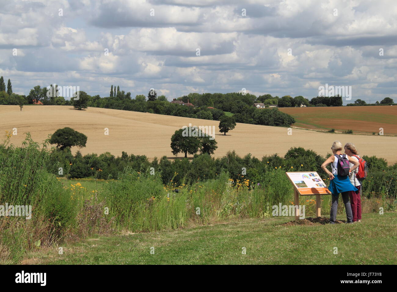 Big Sky Meadow, RHS Garden Hyde Hall Flower Show 2017, Chelmsford, Essex, Angleterre, Grande-Bretagne, Royaume-Uni, UK, Europe Banque D'Images