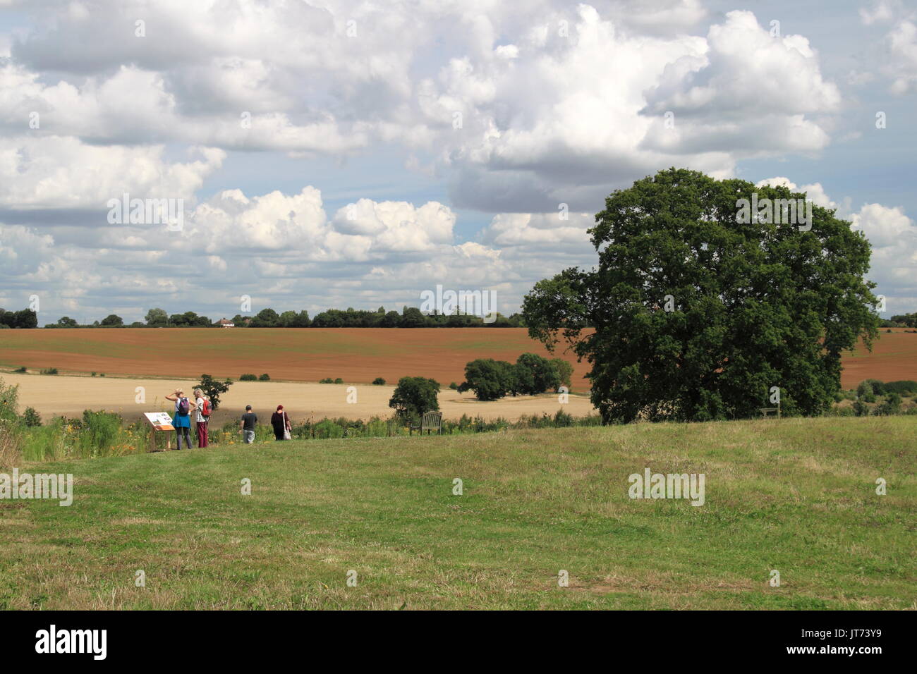 Big Sky Meadow, RHS Garden Hyde Hall Flower Show 2017, Chelmsford, Essex, Angleterre, Grande-Bretagne, Royaume-Uni, UK, Europe Banque D'Images