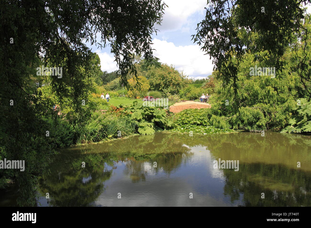 Hilltop Garden, RHS Garden Hyde Hall Flower Show 2017, Chelmsford, Essex, Angleterre, Grande-Bretagne, Royaume-Uni, UK, Europe Banque D'Images