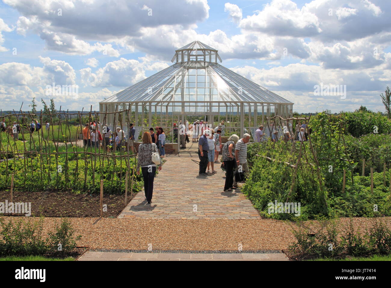 La croissance mondiale Potager, RHS Garden Hyde Hall Flower Show 2017, Chelmsford, Essex, Angleterre, Grande-Bretagne, Royaume-Uni, UK, Europe Banque D'Images