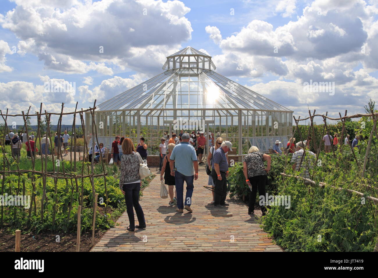 La croissance mondiale Potager, RHS Garden Hyde Hall Flower Show 2017, Chelmsford, Essex, Angleterre, Grande-Bretagne, Royaume-Uni, UK, Europe Banque D'Images