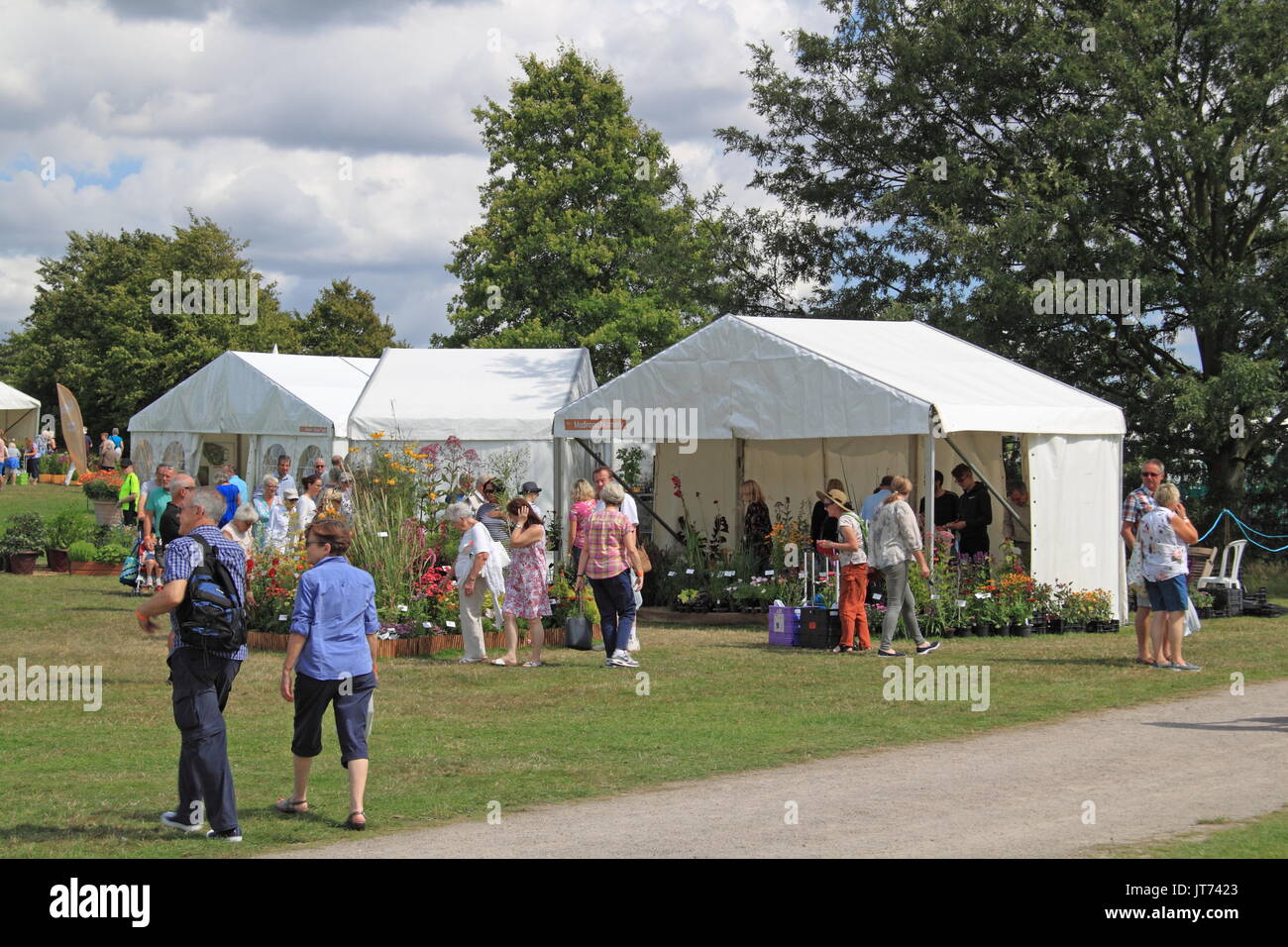 Madrona Nursery, RHS Garden Hyde Hall Flower Show 2017, Chelmsford, Essex, Angleterre, Grande-Bretagne, Royaume-Uni, UK, Europe Banque D'Images